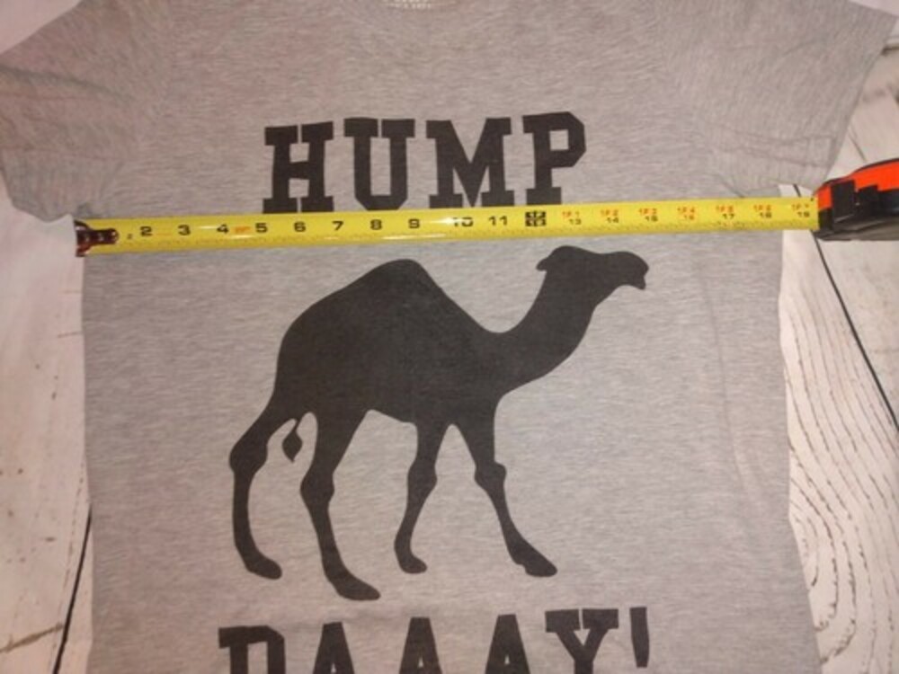Camel Hump Day! Funny Women's T-Shirt Funny Novelty Pun Gift Tees small - Picture 3 of 4